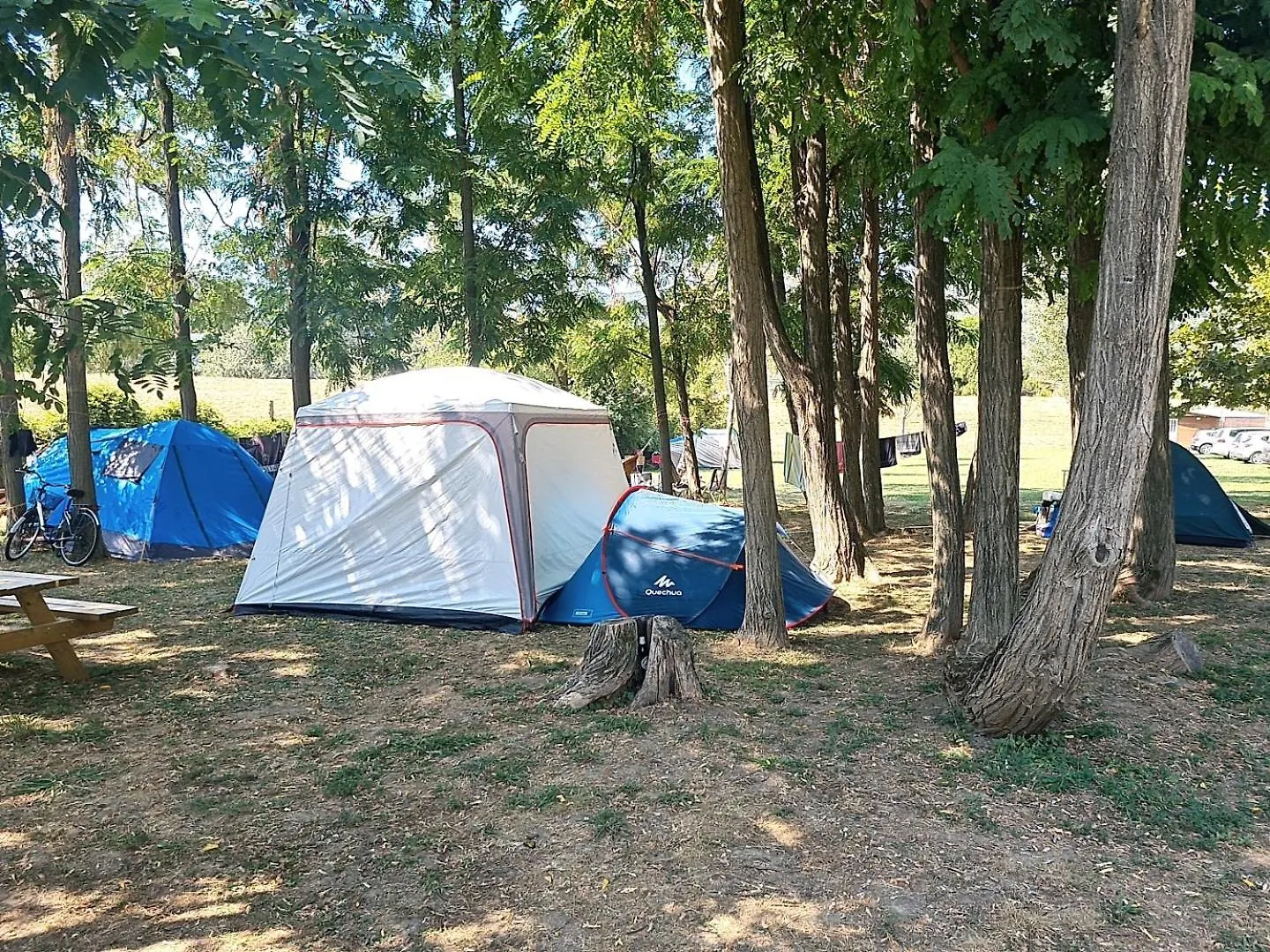 Camping River Ameglia 3*,  Italia