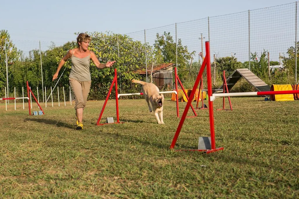 Camping River Villa Ameglia Campsite
